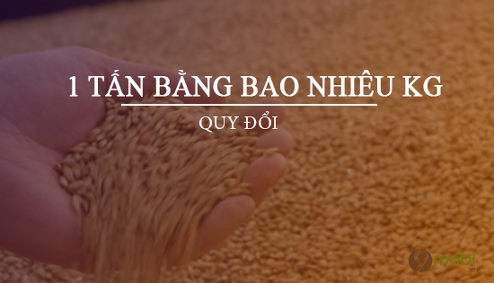 1 tấn tương đương với bao nhiêu kg?