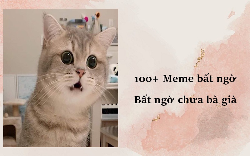 100+ Meme bất ngờ, bất ngờ chưa bà già, Pikachu bất ngờ