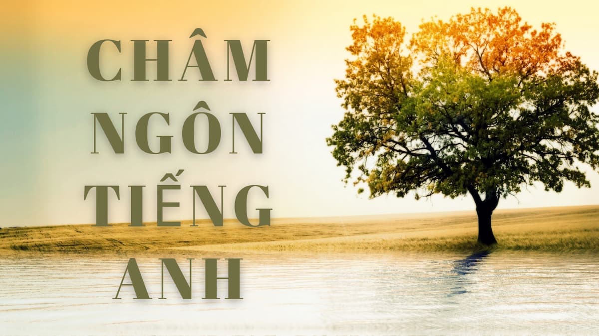 100+ châm ngôn tiếng Anh hay và ý nghĩa nhất