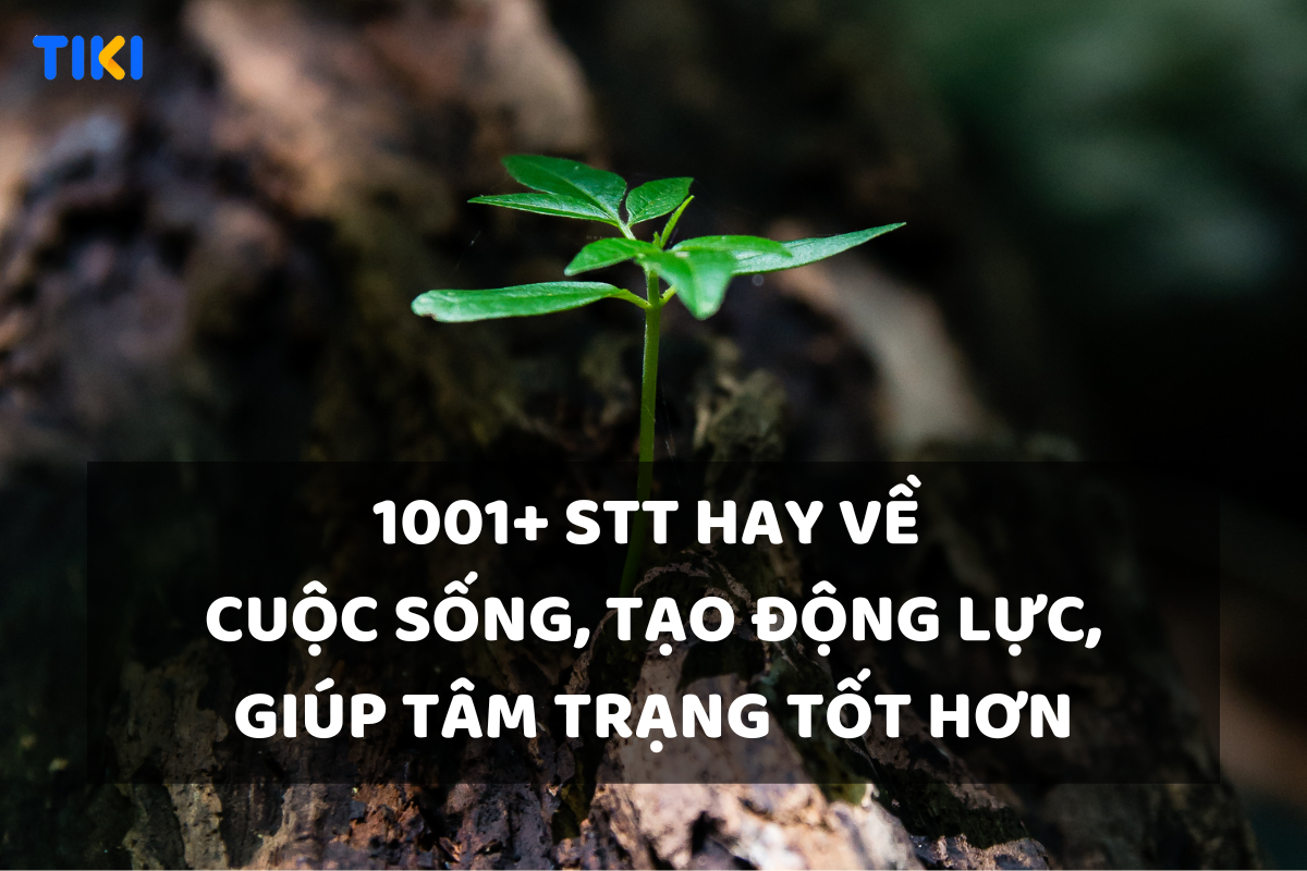 1001+ STT hay về cuộc sống – Câu Nói Ý Nghĩa Thay Đổi Đời