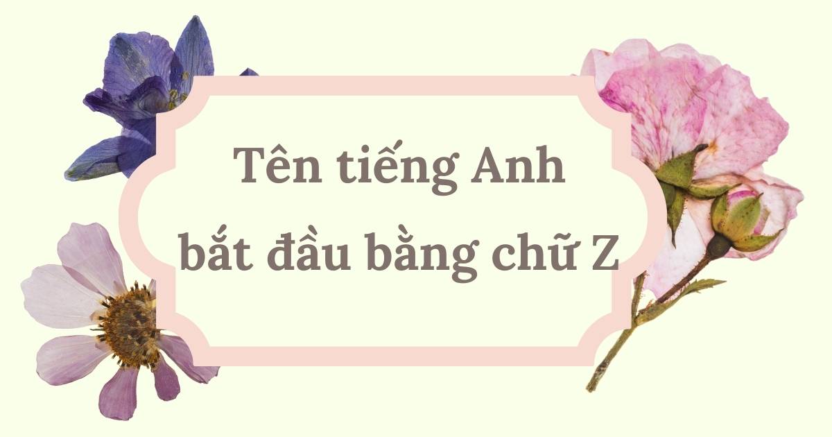 140+ tên tiếng Anh bắt đầu bằng chữ Z “siêu hay” và “dễ đọc” cho nam & nữ