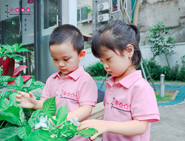 Phương pháp montessori giúp trẻ tự lập