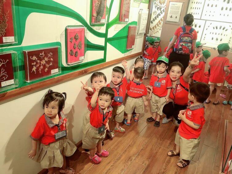 mầm non Ý Việt Montessori