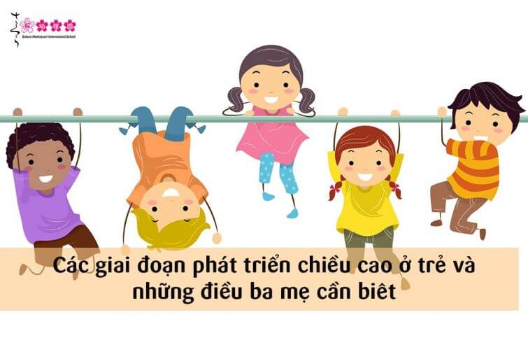 3 Giai đoạn vàng phát triển chiều cao của trẻ