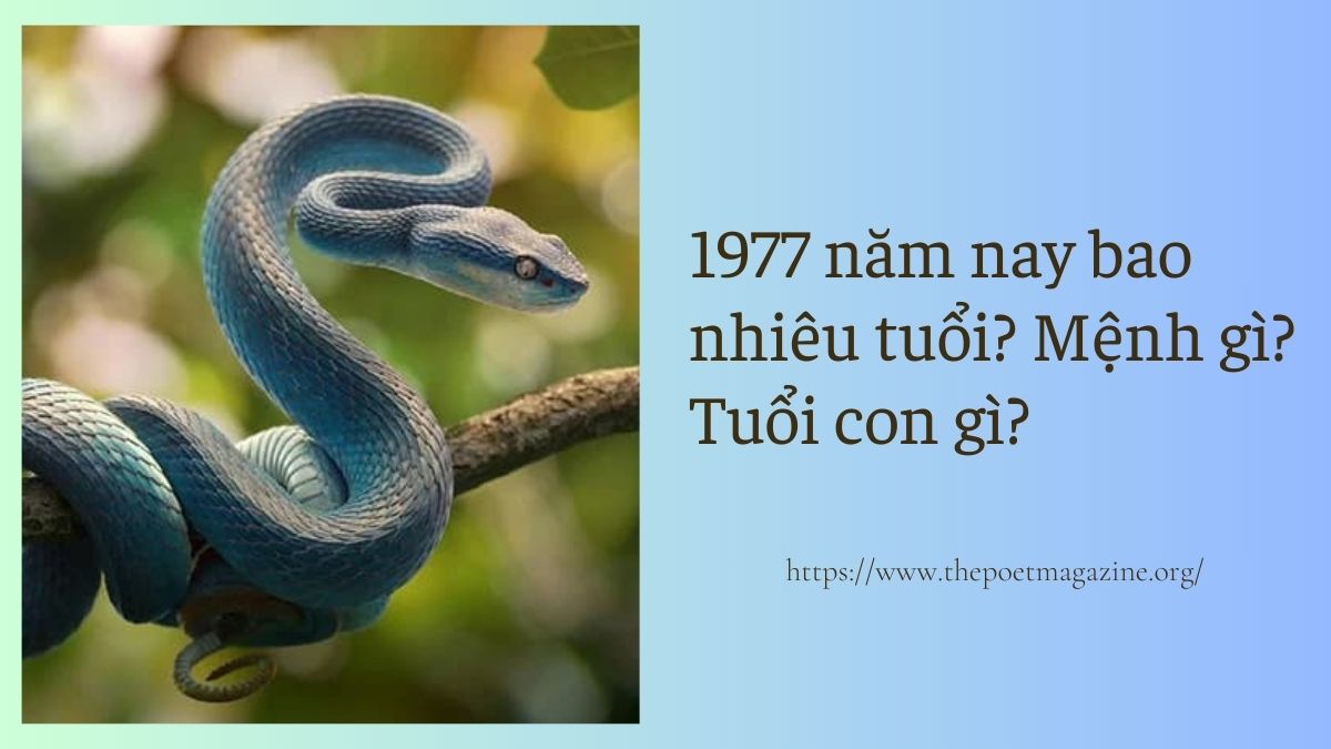 1977 năm nay bao nhiêu tuổi âm lịch, dương lịch?