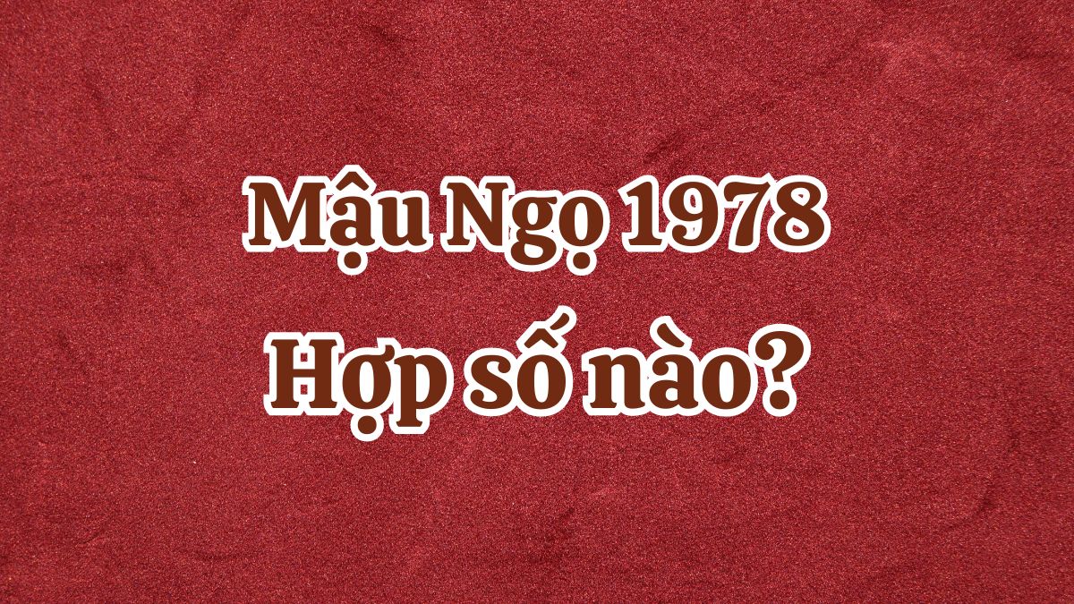 1978 hợp số nào? Mậu Ngọ hợp số chẵn hay lẻ nhất?