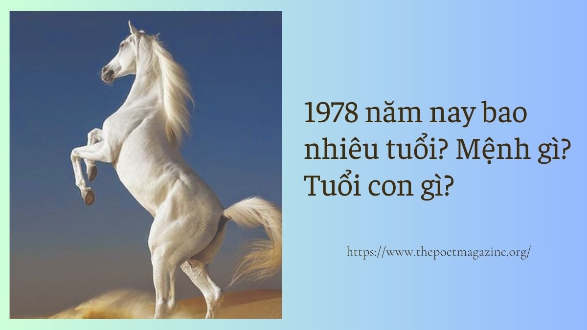 1978 năm nay bao nhiêu tuổi, thuộc cung mệnh gì, con giáp nào?