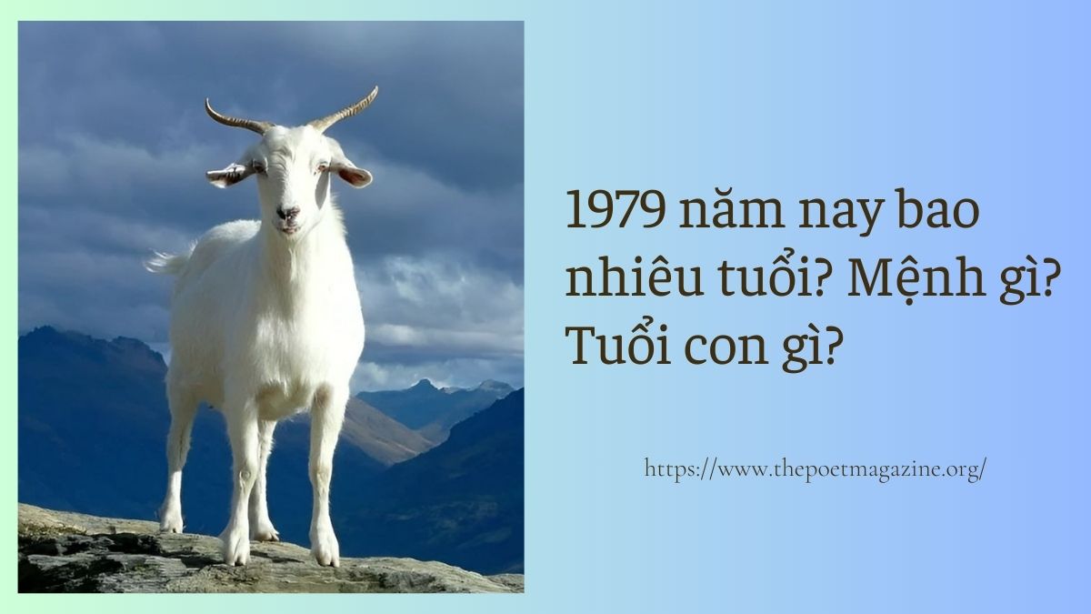 1979 năm nay bao nhiêu tuổi? Thuộc mệnh gì? Tuổi con gì?