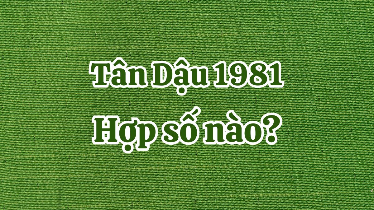 1981 hợp số nào? Top số phong thủy hợp tuổi Tân Dậu