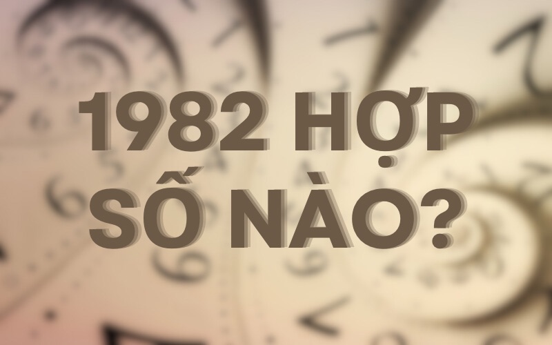 1982 hợp số nào? Nam, nữ Nhâm Tuất kiêng số nào?