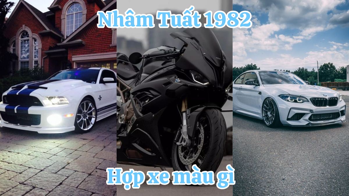 1982 hợp xe màu gì? Màu may mắn tuổi Nhâm Tuất