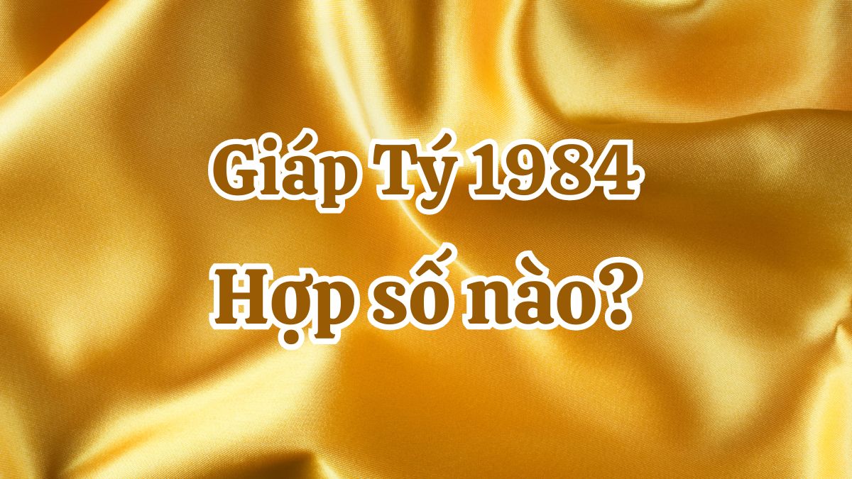 1984 hợp số nào? Nam, nữ Giáp Tý hợp số chẵn hay lẻ?