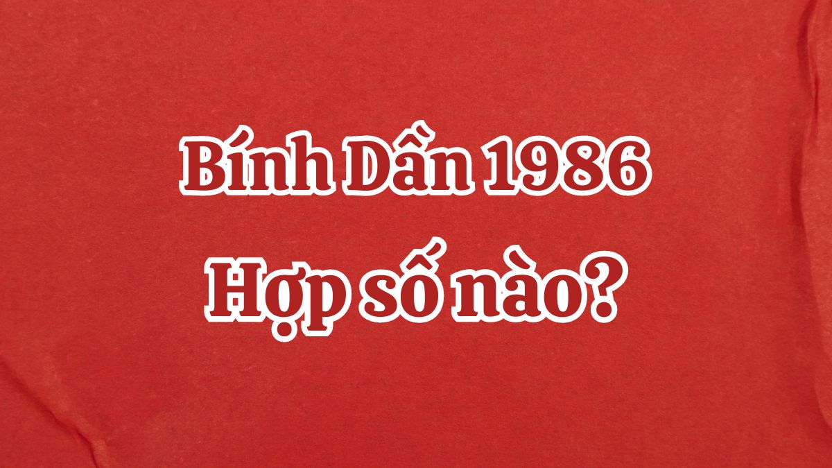 1986 hợp số nào? Tuổi Bính Dần hợp số chẵn hay lẻ?