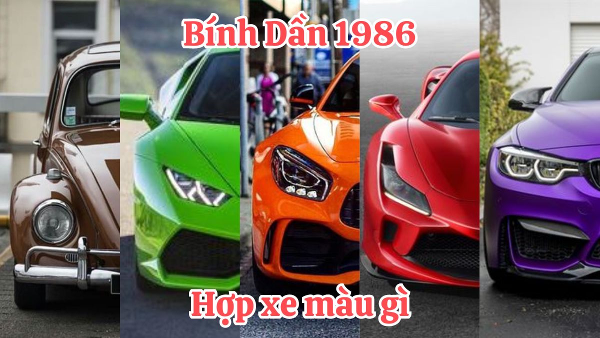 1986 hợp xe màu gì? Màu xe phong thủy tuổi Bính Dần