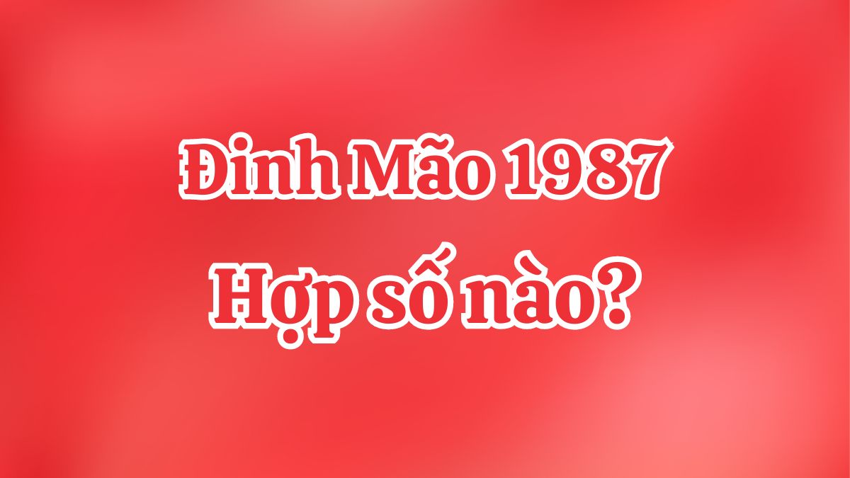 1987 hợp số nào nhất? Nam, nữ Đinh Mão hợp số chẵn hay lẻ?