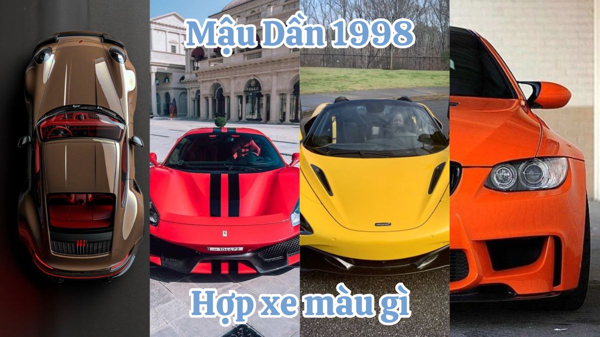 1998 hợp xe màu gì? Tổng hợp màu hợp Mậu Dần