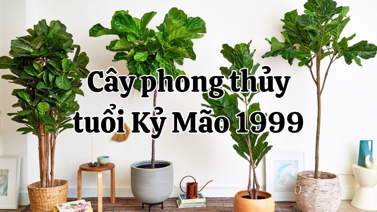 1999 hợp cây gì? Cây phong thủy hợp tuổi Kỷ Mão