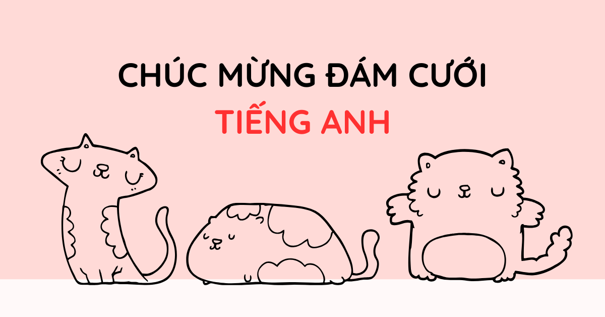 20+ Lời chúc mừng đám cưới tiếng Anh ý nghĩa, ngắn gọn và cảm động nhất!