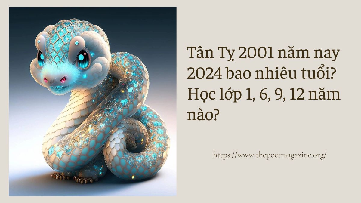 2001 năm nay bao nhiêu tuổi, học lớp 1, 6, 9, 12 năm nào?