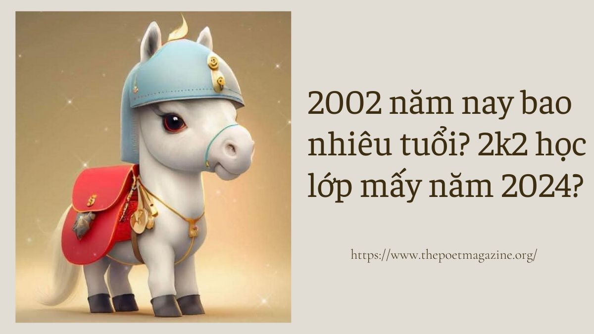 2002 Nhâm Ngọ năm nay bao nhiêu tuổi? Học lớp mấy?