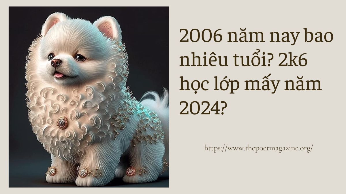 2006 năm nay bao nhiêu tuổi? 2k6 học lớp mấy năm 2024?