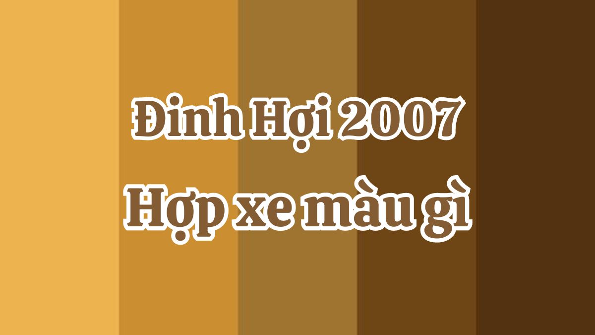 2007 hợp xe màu gì? Nam, nữ Đinh Hợi kiêng xe màu gì?