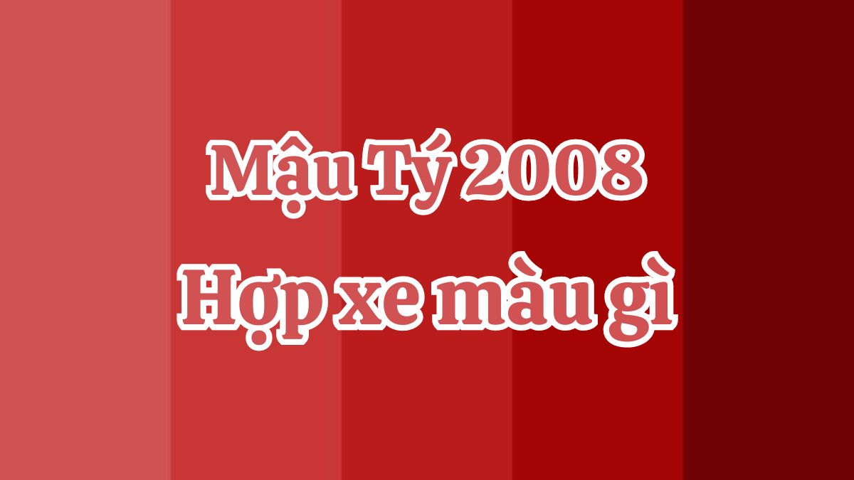 2008 hợp xe màu gì? Top màu xe hợp tuổi Mậu Tý