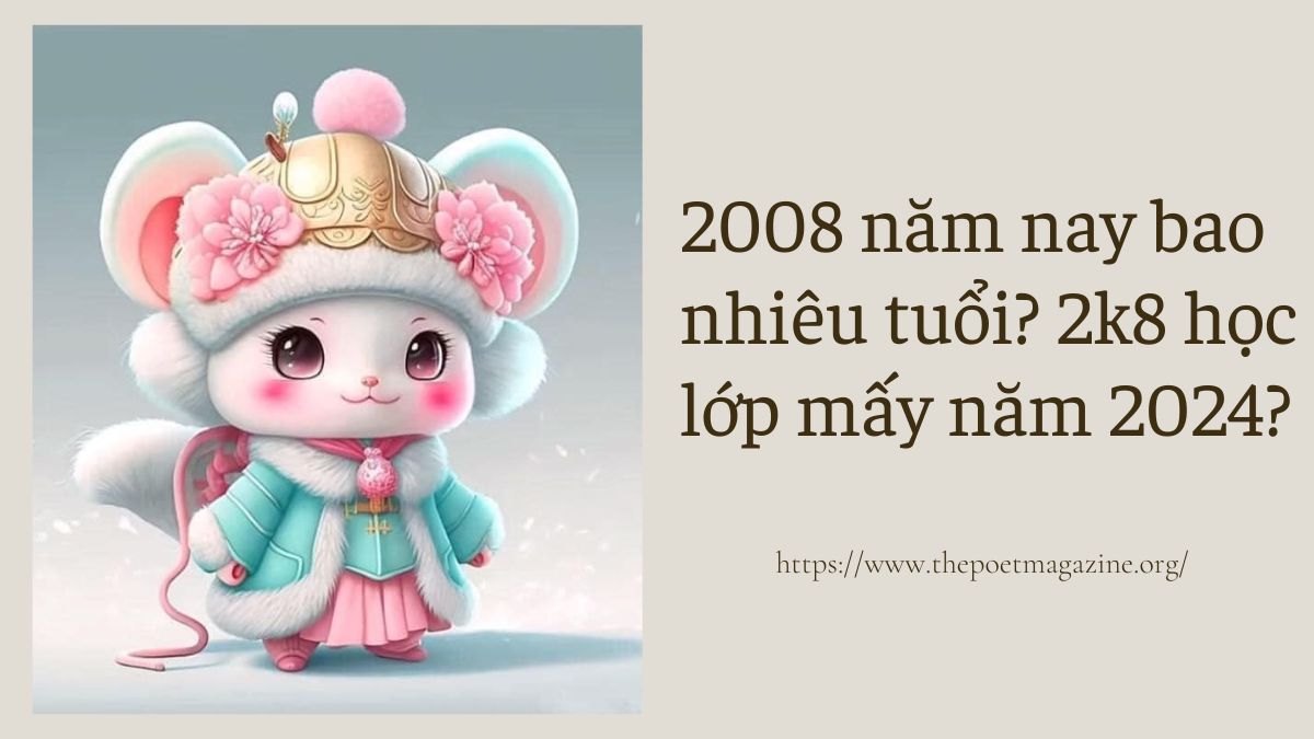 2008 năm nay bao nhiêu tuổi? 2k8 học lớp mấy năm 2024?