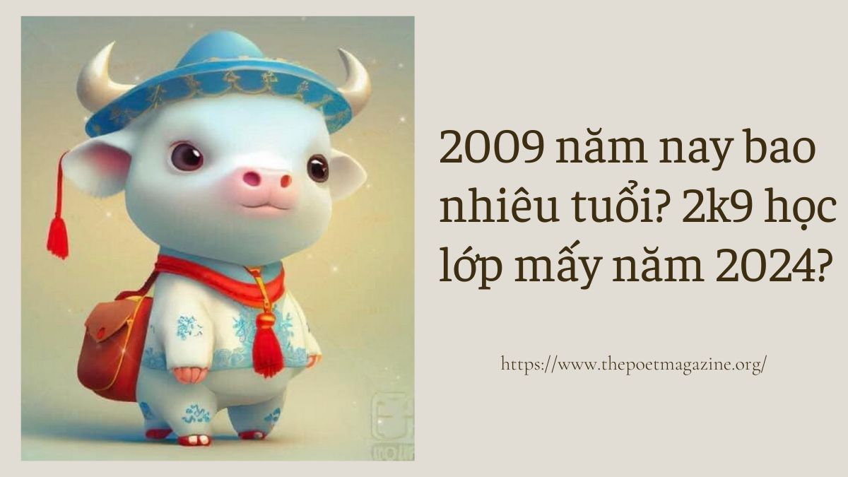 2009 năm nay bao nhiêu tuổi? 2k9 học lớp mấy năm 2024?