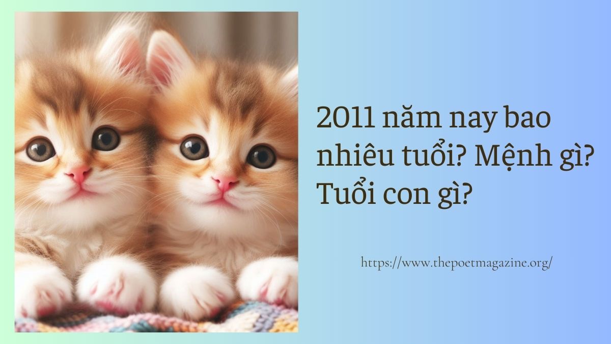 2011 năm nay bao nhiêu tuổi, màu sắc và con số may mắn?