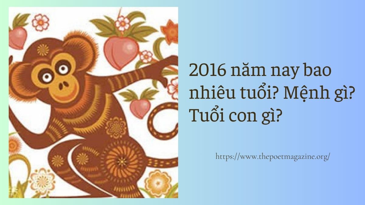 2016 năm nay bao nhiêu tuổi, khái quát tử vi người sinh năm 2016