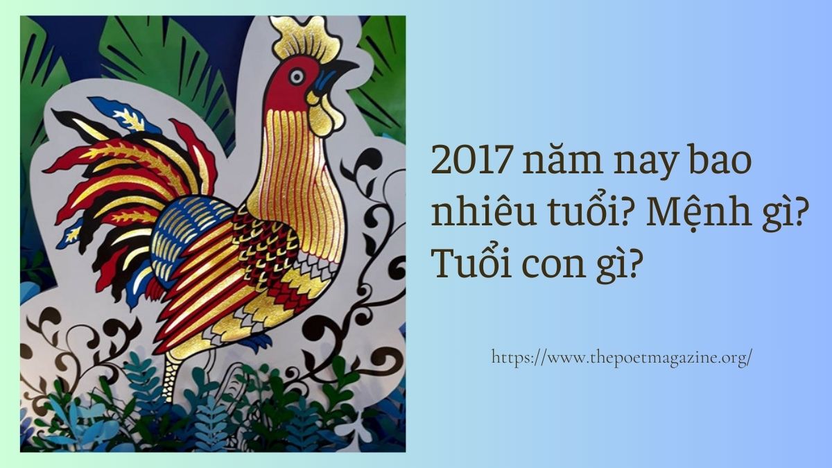 2017 năm nay bao nhiêu tuổi, khái quát tử vi của năm sinh này