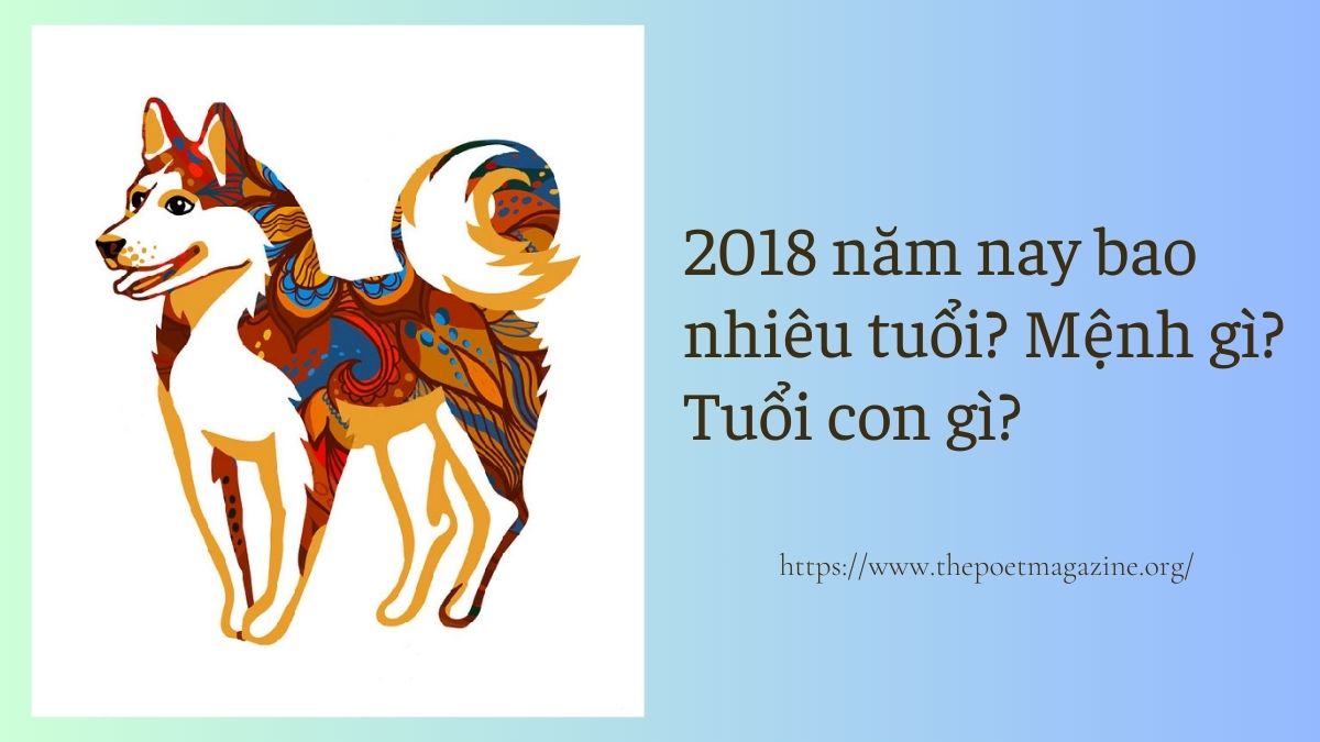 2018 năm nay bao nhiêu tuổi? Học đại học năm nào?