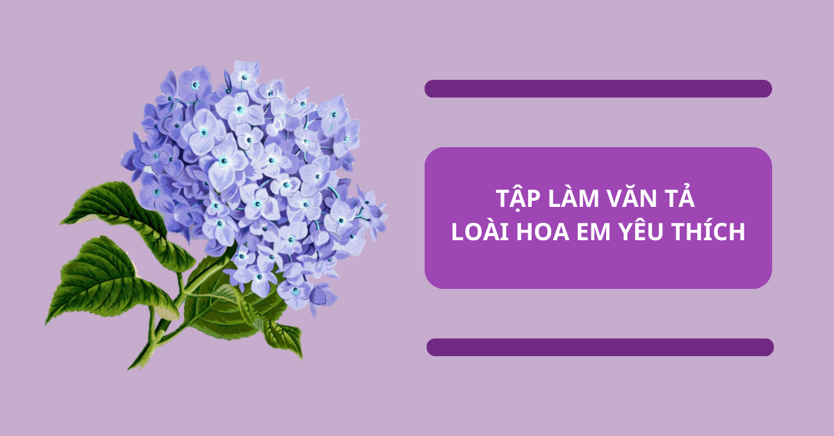 5 Bài tập làm văn tả loài hoa mà em yêu thích giúp bé đạt điểm 9 điểm 10