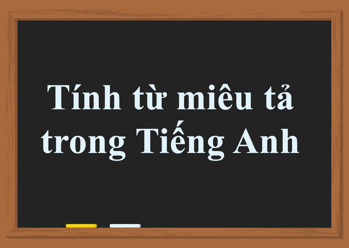 500 tính từ miêu tả trong tiếng anh giúp bạn đột phá vốn từ