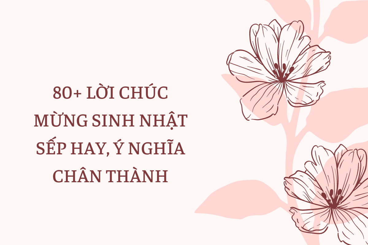 82 Lời Chúc Mừng Sinh Nhật Sếp Hay, Ý Nghĩa