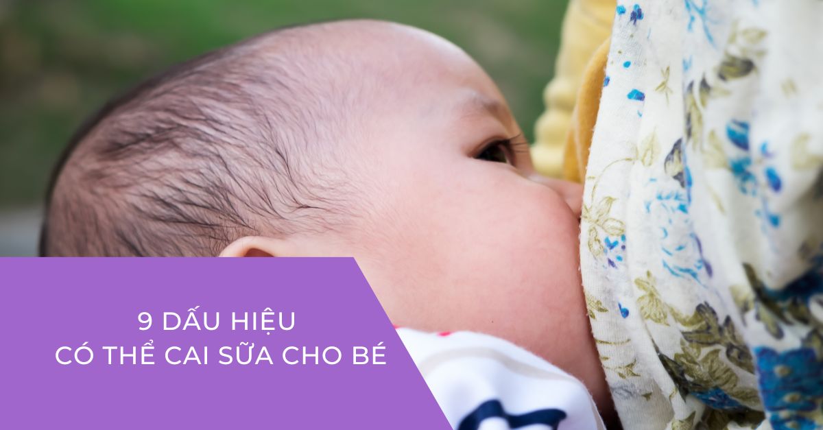 9 dấu hiệu có thể cai sữa cho bé và hướng dẫn mẹ cách cai sữa an toàn, nhanh chóng