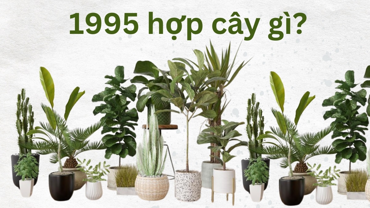 Ất Hợi 1995 hợp cây gì? Trồng cây gì hợp phong thủy nhất?