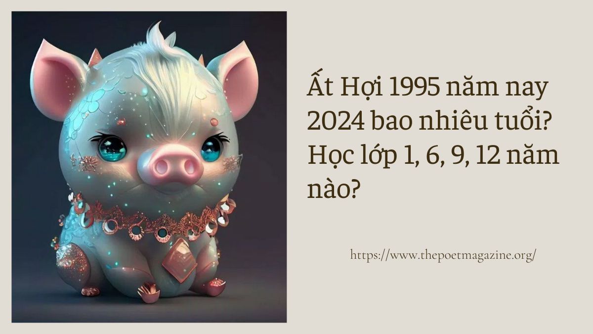 Ất Hợi 1995 năm nay bao nhiêu tuổi? Đi làm mấy năm rồi?