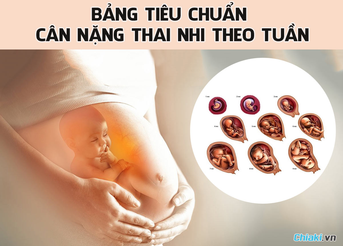 Bảng tiêu chuẩn cân nặng của thai nhi theo tuần theo WHO