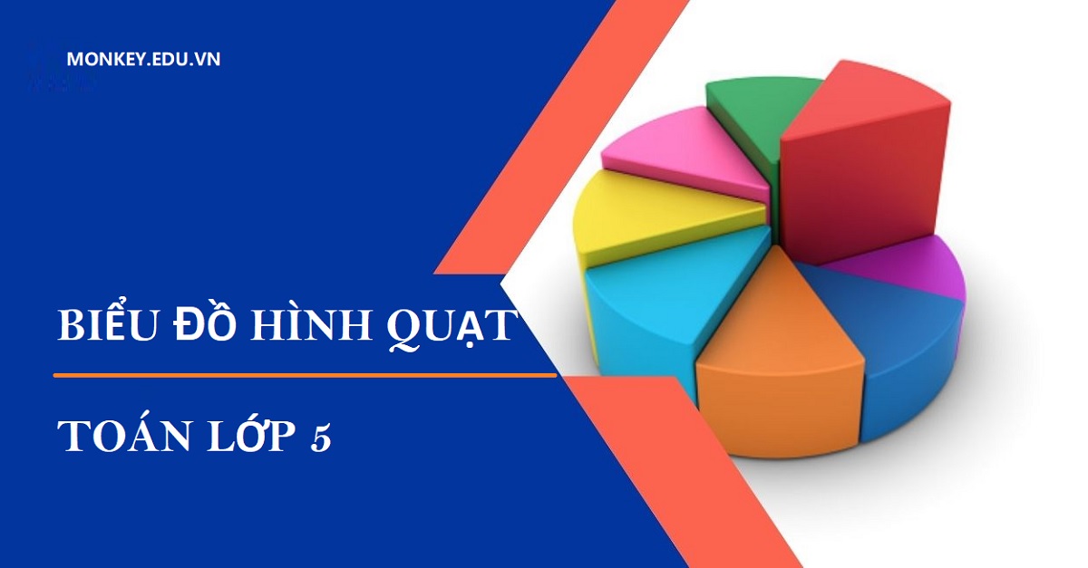 Biểu đồ hình quạt là gì? Hướng dẫn giải bài tập biểu đồ hình quạt toán lớp 5