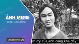 Bộ sưu tập ảnh meme dễ thương, hài hước, và vui nhộn