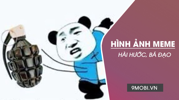 Bức hình meme dễ thương, hài hước với những bức ảnh mèo chế độc đáo