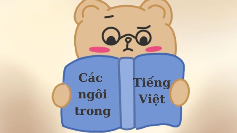 Các ngôi trong tiếng Việt và ví dụ minh họa