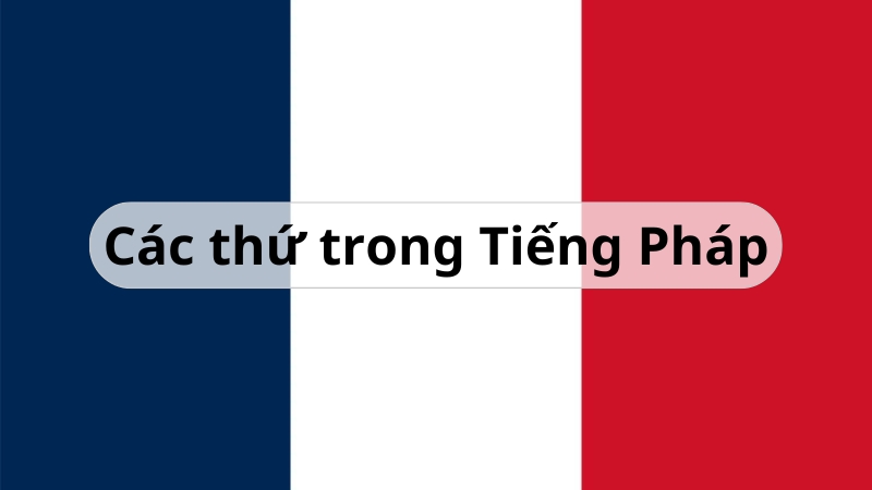 Các thứ trong Tiếng Pháp – Học từ vựng Tiếng Pháp cơ bản