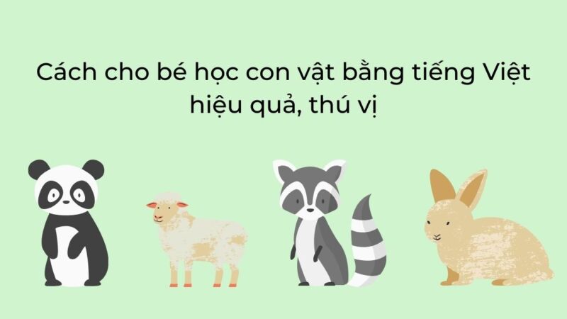 Cách cho bé học con vật bằng tiếng Việt hiệu quả, thú vị