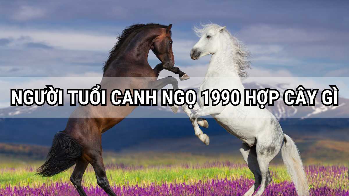 Canh Ngọ 1990 hợp cây gì? 10+ cây may mắn tuổi 1990