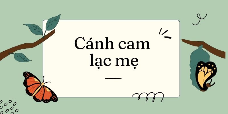 Cánh cam lạc mẹ  (Ngân Vịnh) – Tiếng Việt lớp 5 trang 17