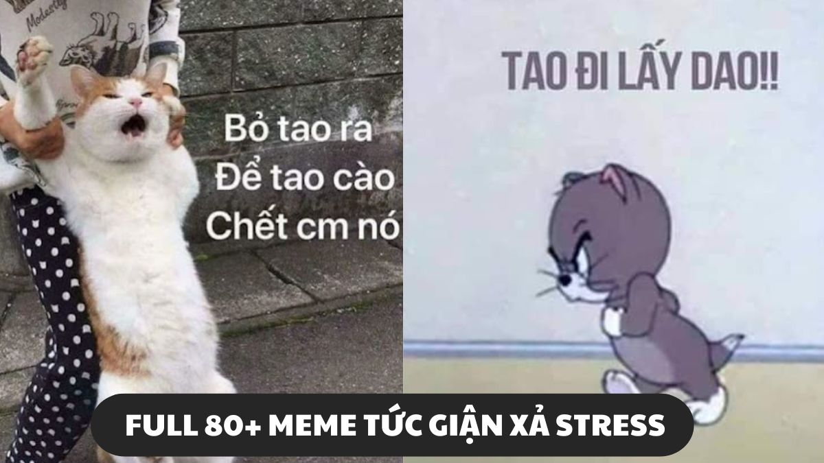 Cập nhật 80+ meme tức giận hung dữ, cute, dễ thương