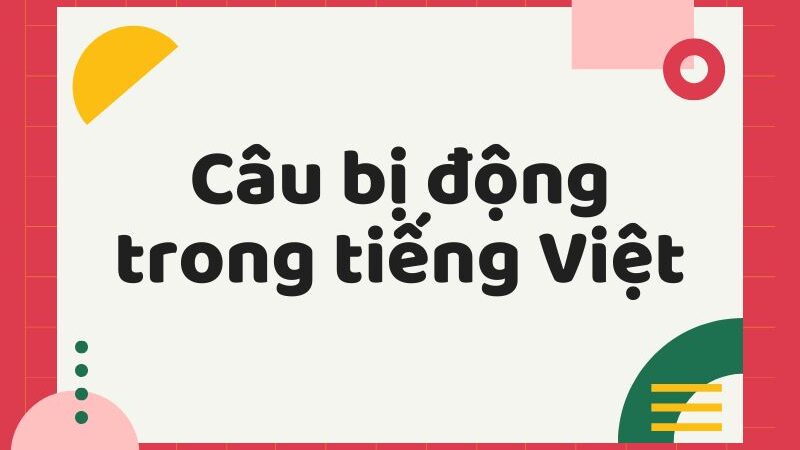 Câu bị động tiếng Việt: Tổng hợp những điều cần biết